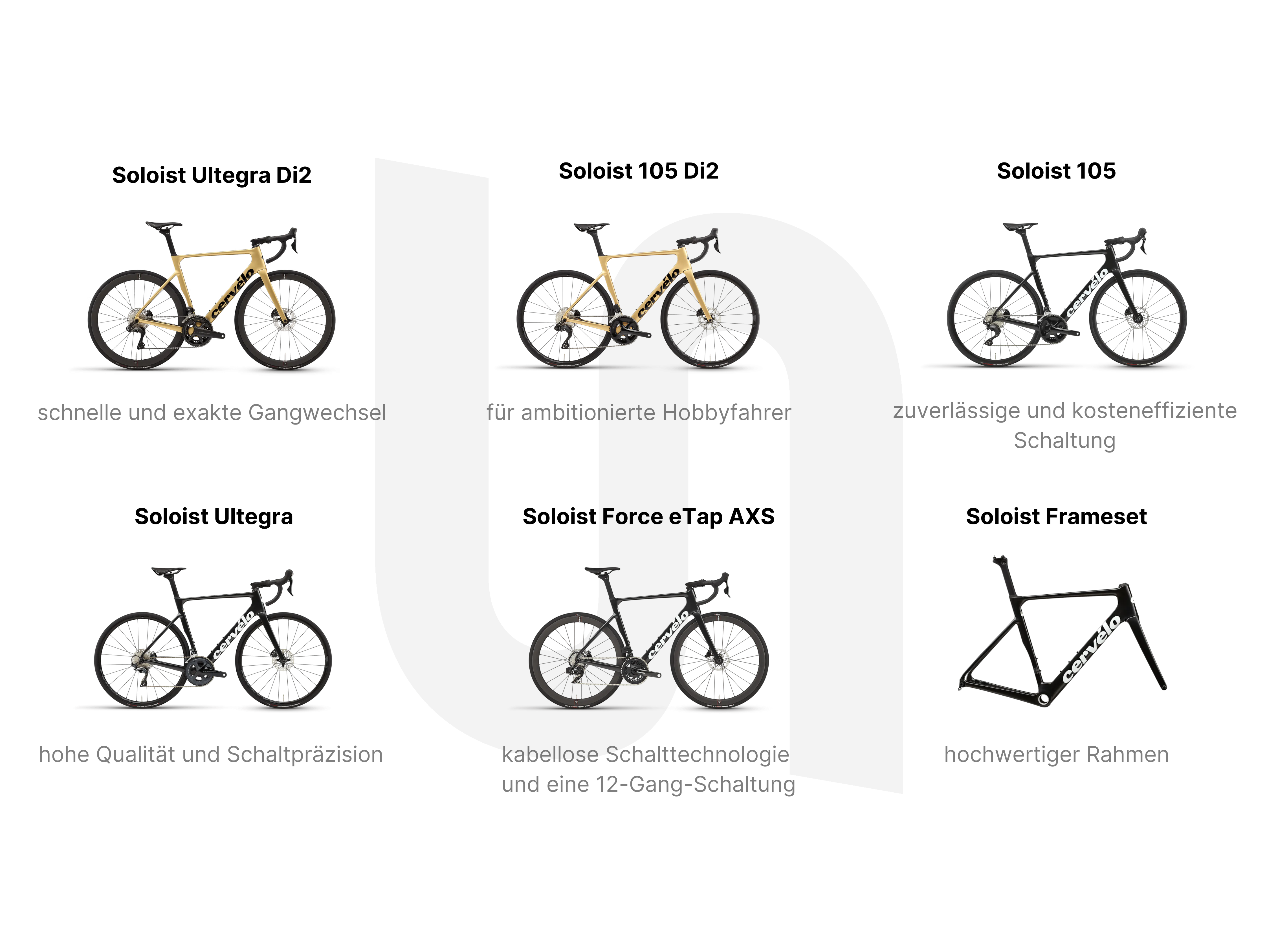 Cervélo Soloist Ausstattungsvarianten