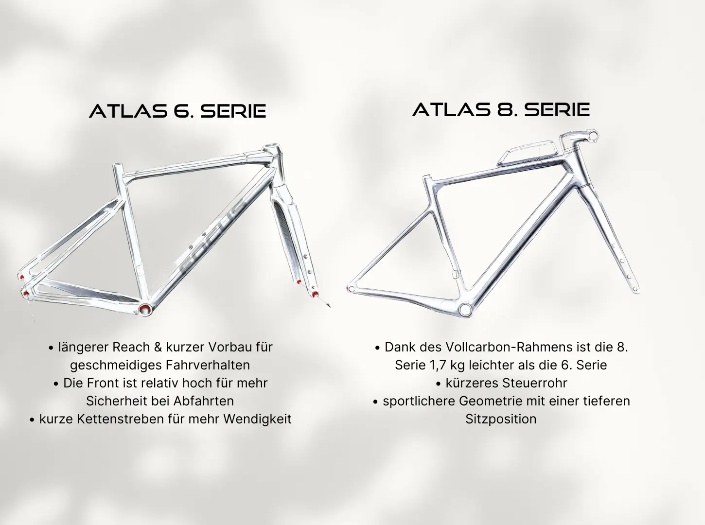 Zwei Rahmenzeichnungen von Focus Atlas Gravelbikes Serie 6 vs Serie 8 mit Unterschieden