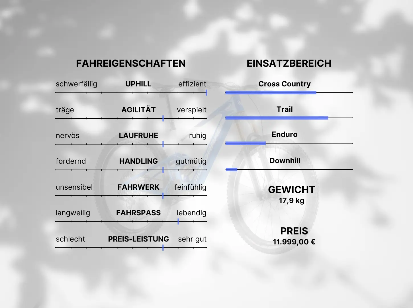 Einordnung Fahreigenschaften und Einsatzbereich des Mondraker NEATS mit Linienmarkierung