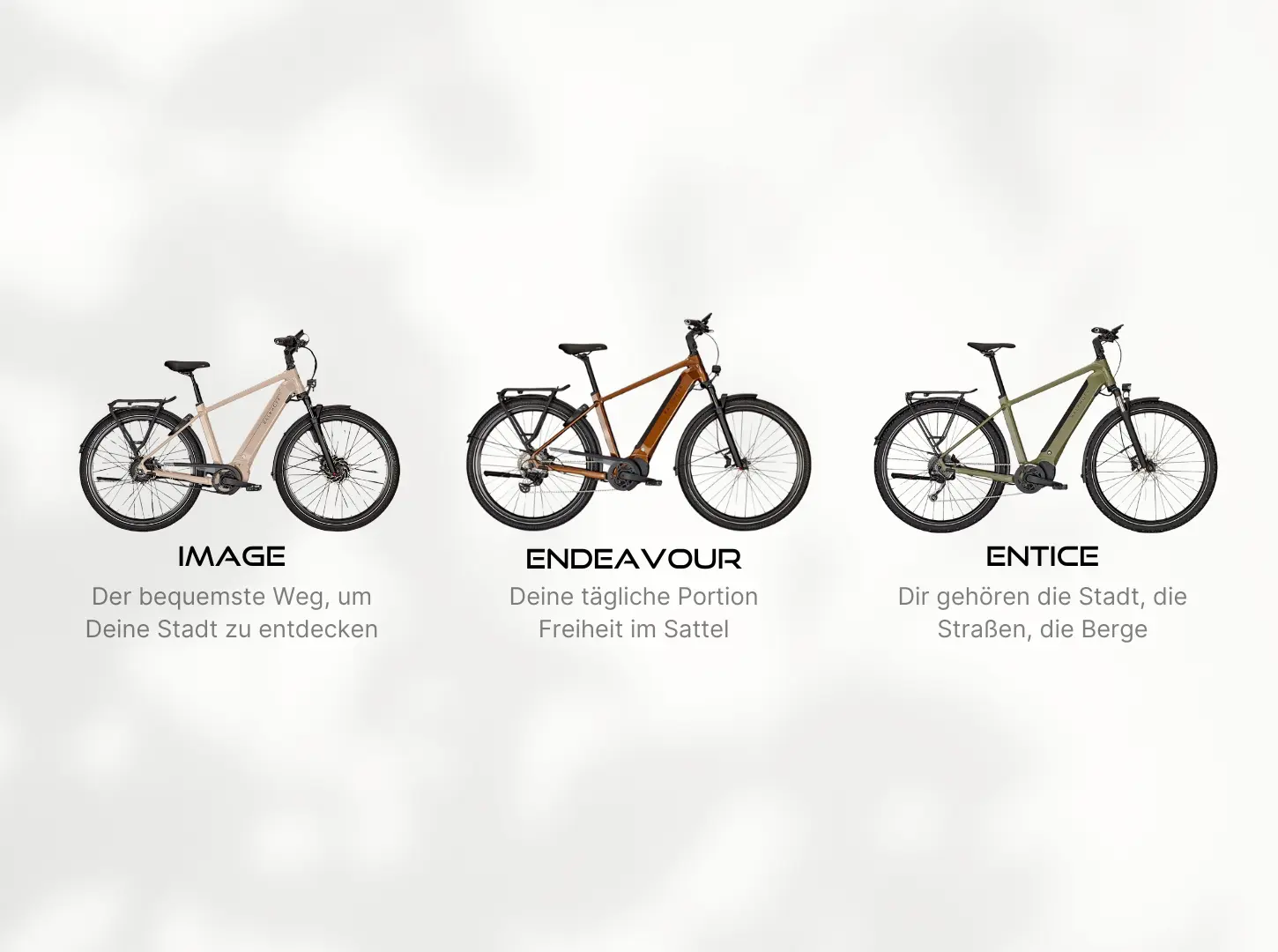 Kalkhoff E-Bike Modelle Image Endeavour Entice