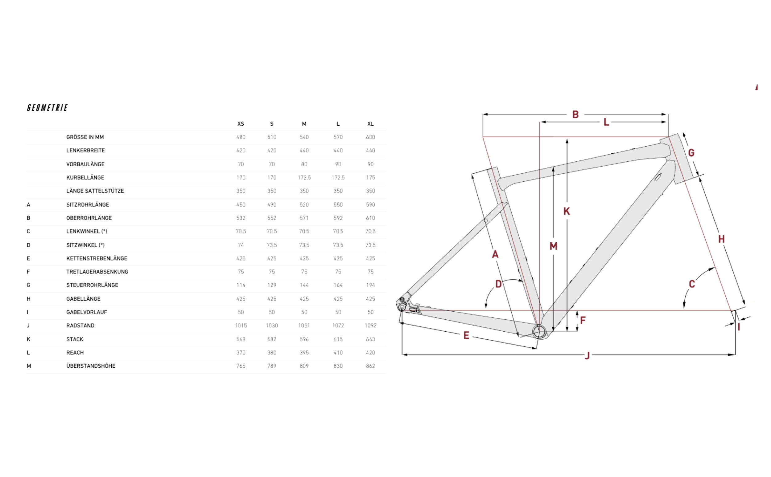 Focus Atlas 6.8 Gravel Geometrie